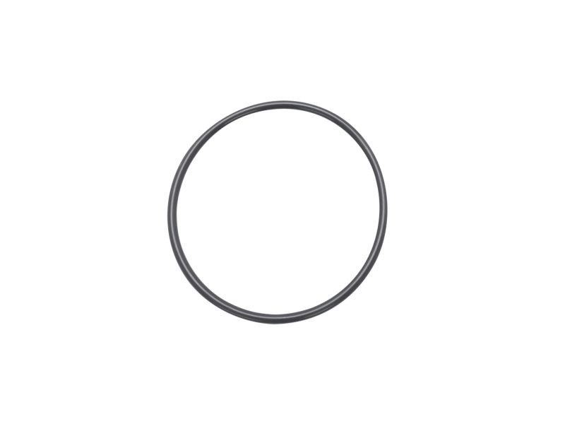 ISO Centering Ring Viton® O-Rings