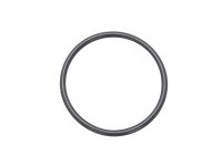 ISO Centering Ring Viton® O-Rings
