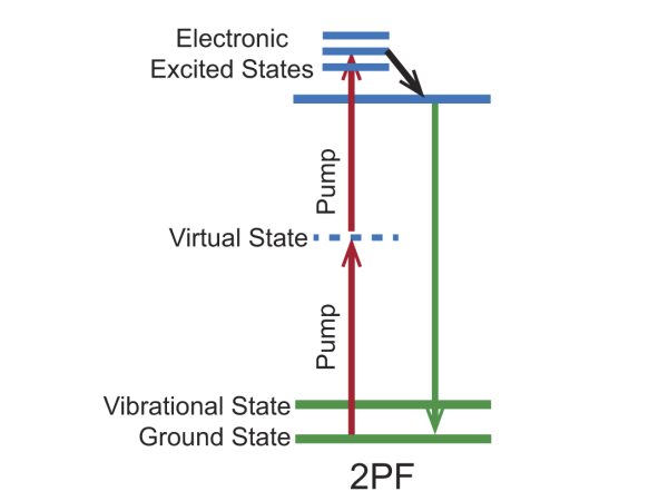 Energy level diagram for the 2PF&nbsp;imaging mechanism